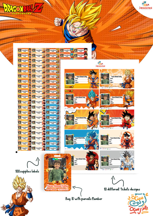 Dragonball design